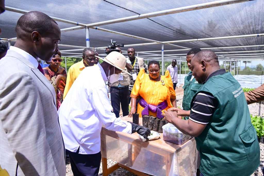 Museveni Champions 4-Acre Model at Prime Minister’s Model Farm Opening in Kakumiro