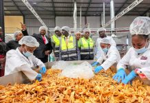 Driving Agro-Industrial Growth: NARO Partners with Sumz Food Industries