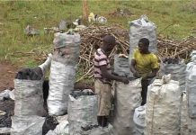 Debates on Cooking Energy and the Dilemmas in East Africa Continue