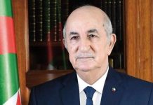 Algeria to Host International Conference on Colonial Crimes in Africa