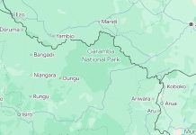 UPDF, FARDC Strike ADF Camps in Eastern DRC Under Operation Shujaa.