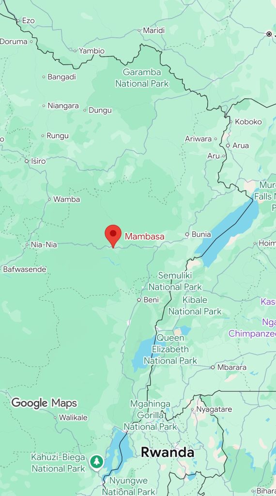 UPDF, FARDC Strike ADF Camps in Eastern DRC Under Operation Shujaa.