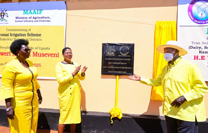 President Museveni Urges Farmers to Grow Rice Safely as he Commissions Shs71 Billion Achomai Irrigation Scheme