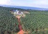 World Bank Praises Uganda’s Strong Growth and Agro-Industry Push.