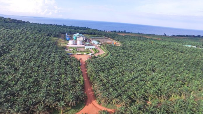 World Bank Praises Uganda’s Strong Growth and Agro-Industry Push.