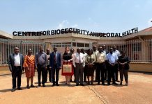 Makerere University and Lancashire University Partner on Veterinary Research.