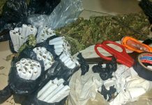 Police Arrest Over 100 Suspects in Kampala and Mukono Anti-Crime Operations