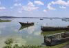 Foul Smell from Lake Victoria Linked to Algal Blooms – Ministry