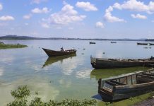 Foul Smell from Lake Victoria Linked to Algal Blooms – Ministry