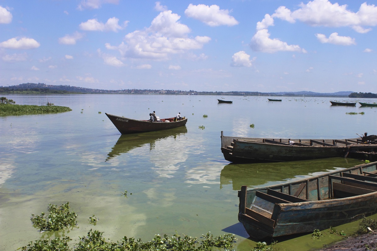 Foul Smell from Lake Victoria Linked to Algal Blooms – Ministry