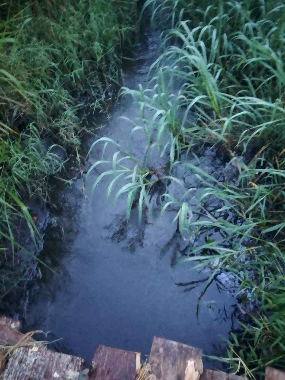 WhatsApp Image 2026-02-15 at 17.59.06