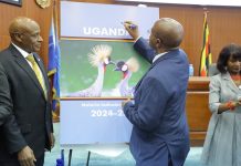 Malaria Prevalence Among Ugandan Children Rises, New Survey Shows