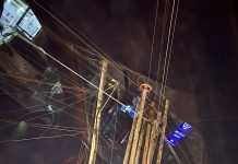 UCC to Crack Down on Fibre Clutter as Duplicate Utility Poles Spread Across Urban Centres