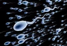 Frequent Ejaculation Linked to Better Sperm Quality – Study