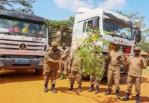 Rhinos Return to Kidepo After 43 Years