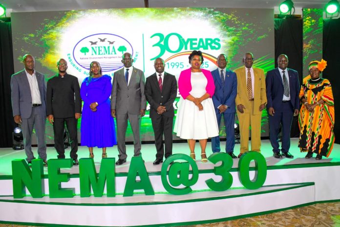NEMA @30: Rallies for Multi-Stakeholder Environmental Protection and Conservation