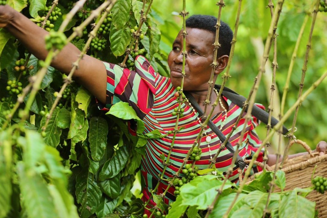 b4e22dfe-1f4e-4153-94c8-dceed8692b7d