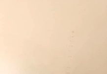 Four Children Killed in Attack at Ggaba Daycare, Suspect Arrested