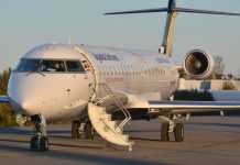 Why the Uganda Airlines bird strike is being misunderstood.