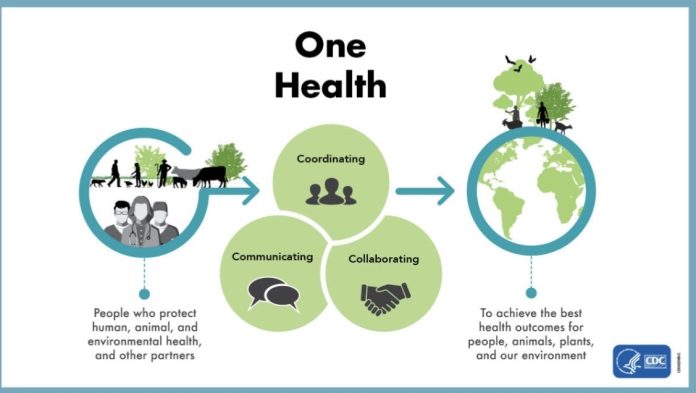 One Health Interconnected Risks: Africa at High Risk of Diseases