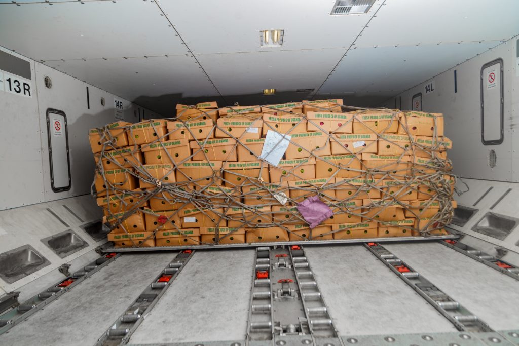 Export Surge, Jobs Gap: Uganda’s Growth Story Faces Test of Inclusion.