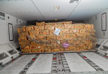 Export Surge, Jobs Gap: Uganda’s Growth Story Faces Test of Inclusion.