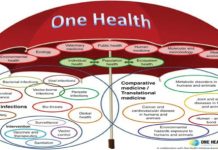 Africa Local Innovations fronted for One Health Approach