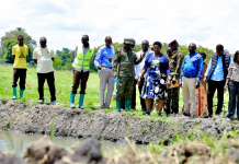 President Museveni’s Fish Farming Drive Praised as Bold Solution to Poverty and Wetland Degradation in Pallisa
