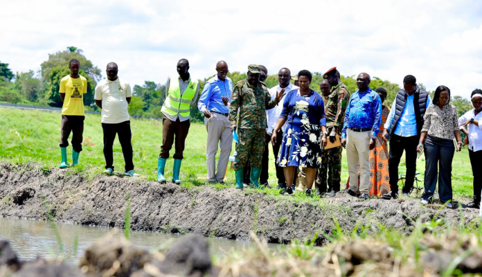 President Museveni’s Fish Farming Drive Praised as Bold Solution to Poverty and Wetland Degradation in Pallisa