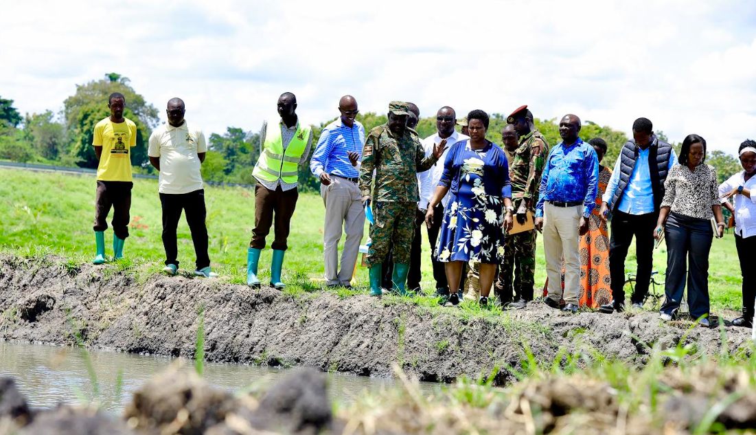 President Museveni’s Fish Farming Drive Praised as Bold Solution to Poverty and Wetland Degradation in Pallisa