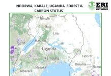 ERI Raises alarm over Forest Loss and Rising Carbon Emissions in Ndorwa County