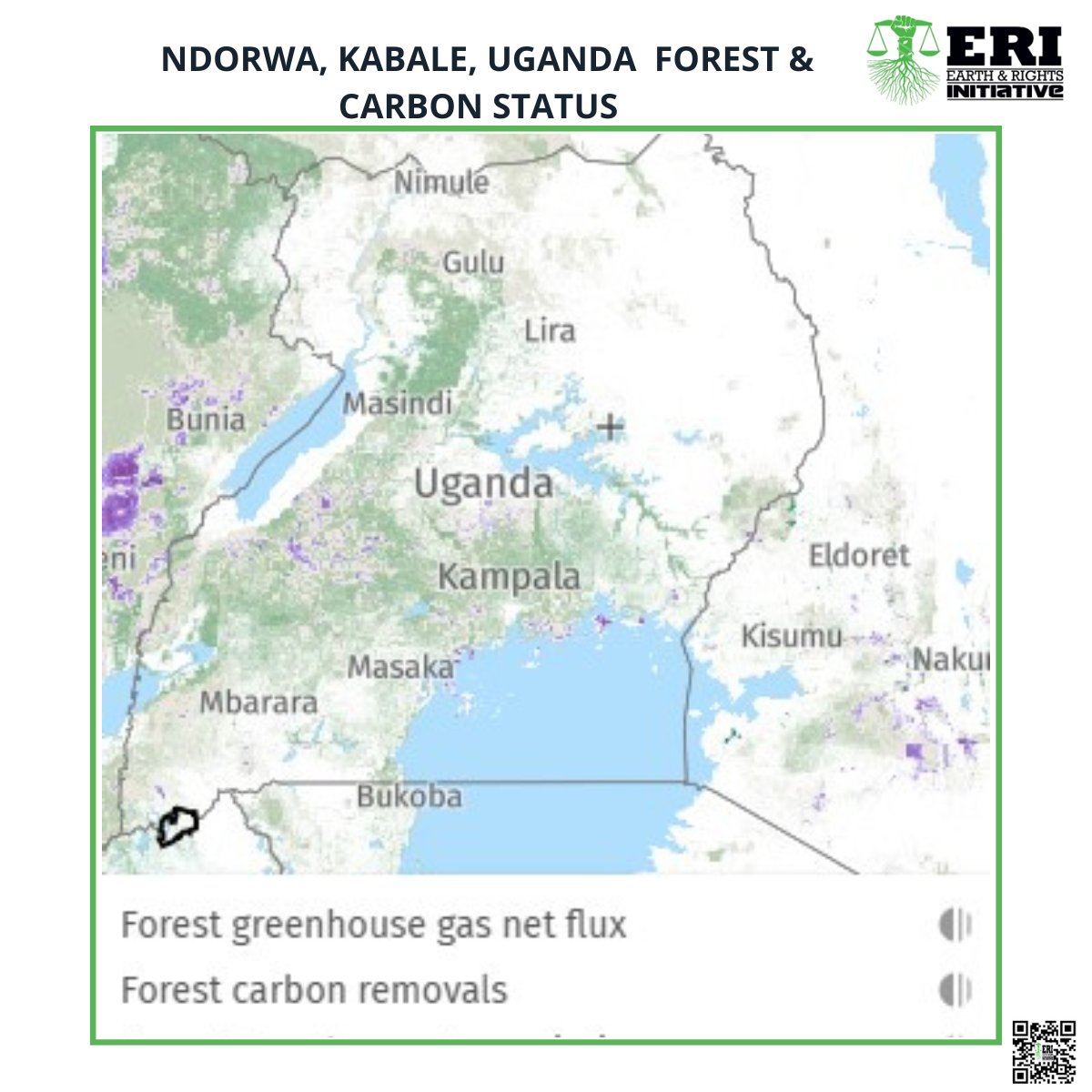 ERI Raises alarm over Forest Loss and Rising Carbon Emissions in Ndorwa County