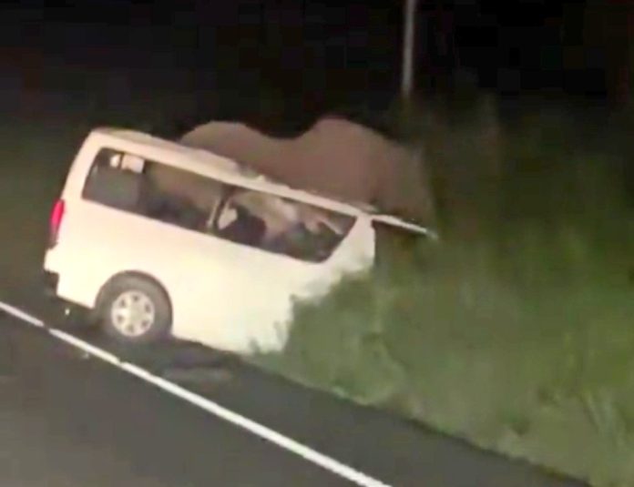 Three Dead, Four Injured After URA Vehicle Collides with Elephant in Murchison Falls National Park