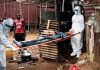 Uganda, UN partners intensify response to Ebola outbreak