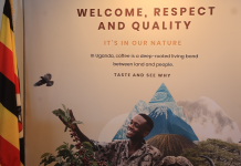 Uganda launches first national coffee brand as Africa’s coffee powerhouse steps onto the world stage