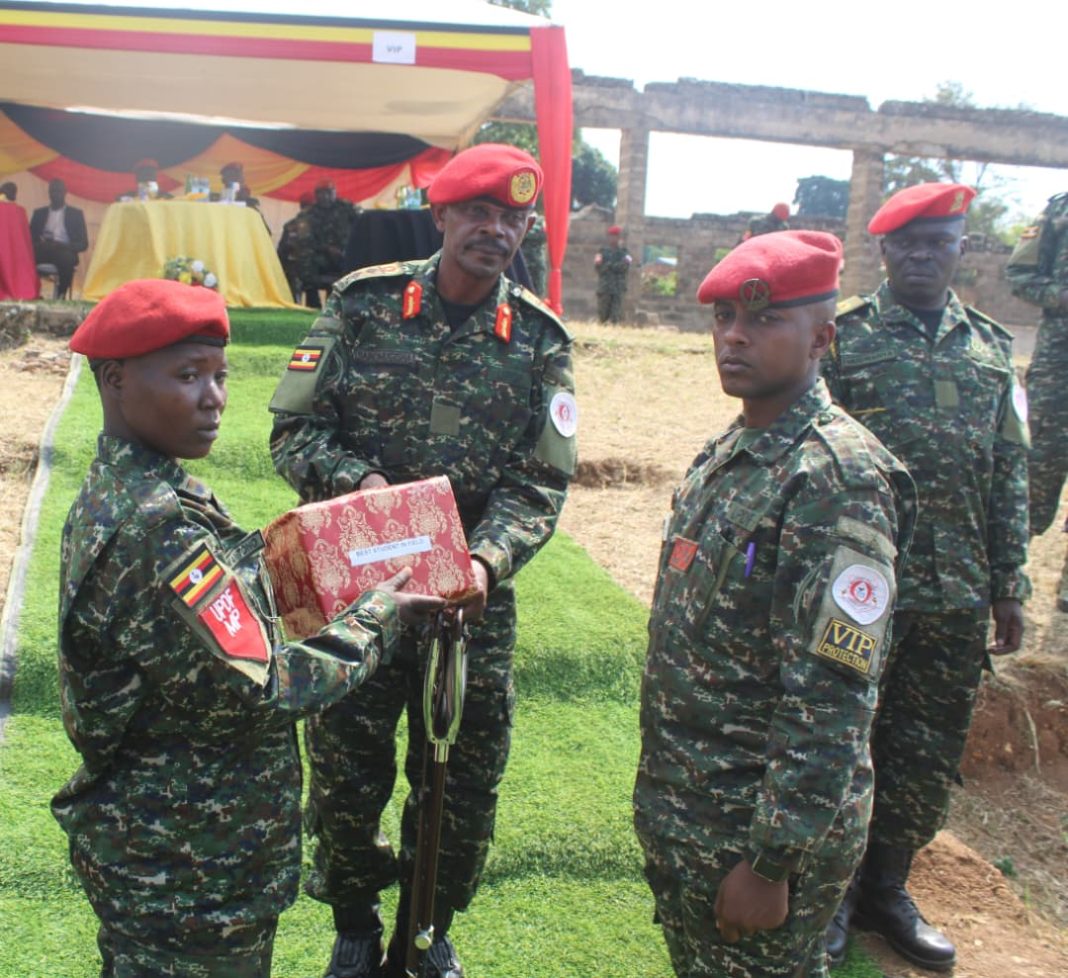 UPDF3