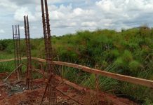 NEMA Steps up protection of Kajjansi wetland