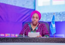 COMESA Watchdog Intensifies Probe Into Meta as EU Orders WhatsApp to Reopen Access to Rival AI Providers