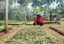 Local Initiatives promoted for Green Transition