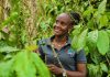Coffee Exports Rise Over 12 Months Despite Sharp Drop in May Shipments.
