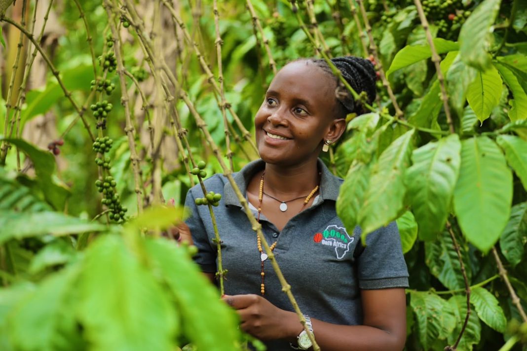 WhatsApp Image 2026-07-13 at 18.06.58