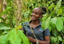 Coffee Exports Rise Over 12 Months Despite Sharp Drop in May Shipments.
