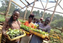 Women Farmers in Uganda to Benefit from New Blockchain-Powered Insurance Pilot