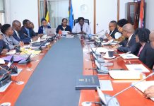 Public Service Ministry Seeks Shs308 Billion for Service Uganda Centres, Key Projects