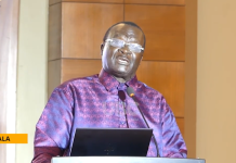Luo Community Urged to turn Culture and Enterprise into Economic Opportunities
