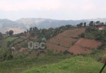 Kisoro Residents Demand Compensation Over Land Taken for Iron Ore Mining
