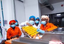 Government Moves to Revitalize Egg and Baby Food Industry as Minister Bahati Inspects Pristine Foods