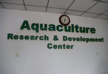 Fish Research Takes Centre Stage as Uganda Seeks to Grow Aquaculture