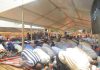 Thousands bid farewell to Afrigo Band legend Moses Matovu