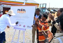 Pearl Sweet: President Museveni Unveils Official Name for Uganda’s Crude Oil Ahead of First Production